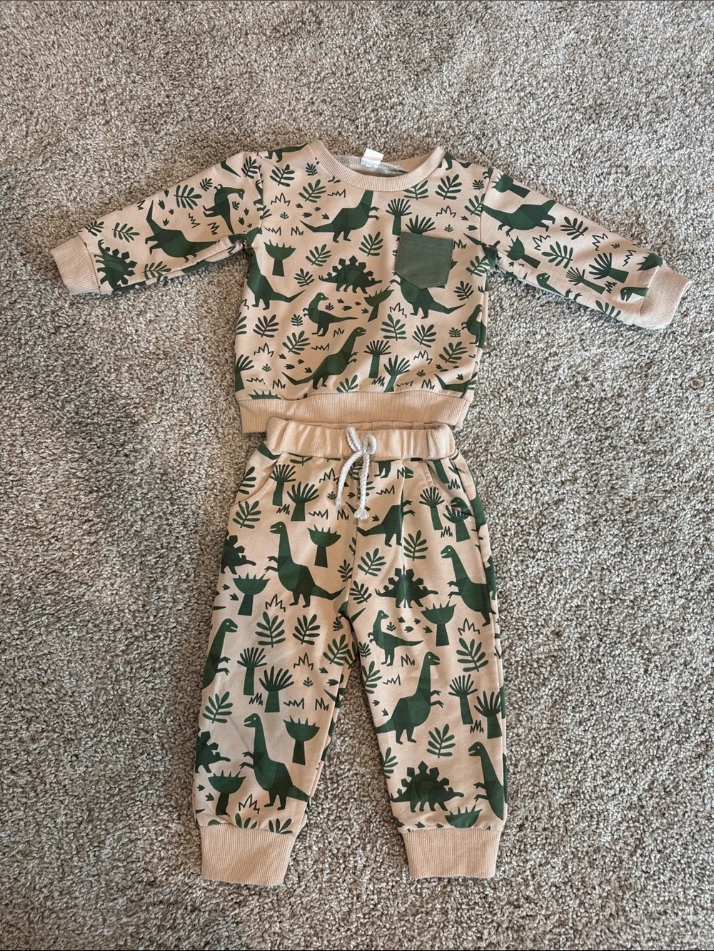 Toddler Beige and Green Dinosaur Matching Set